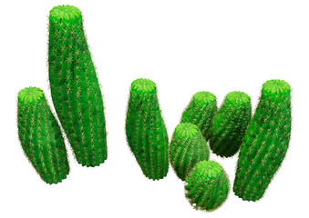 3D Rendering Peanut Cactus on White