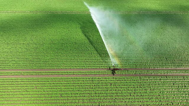 Irrigation pivot gun machine spraying water on an agricultural field during a dry sprintime day.