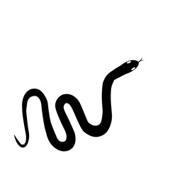 Silhouette of Snake 