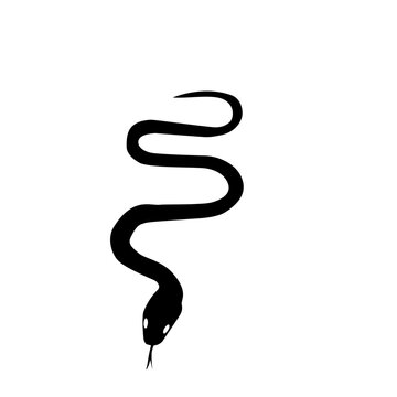 Silhouette of Snake 