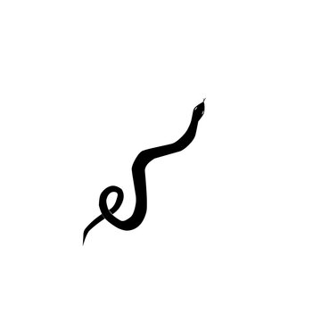 Silhouette of Snake 