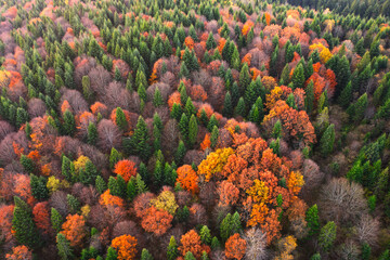 Bird's-Eye View of Fall: Mountain Landscape in All Its Glory