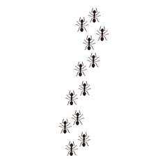 Ants, ant column. Black insect silhouettes. Vector Illustration for backgrounds and packaging. Image can be used for greeting cards, posters, stickers and textile. Isolated on white background.