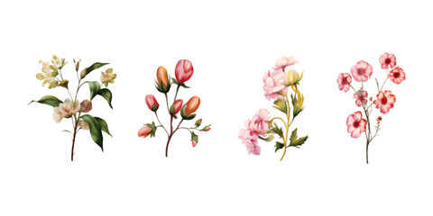 set of watercolor floral