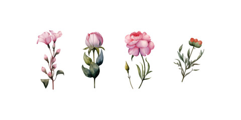 Obraz premium set of watercolor floral