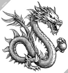 Vintage engraving isolated Japanese Dragon illustration snake ink sketch. Chinese character dragon background tattoo silhouette art. Black and white hand drawn vector image - 647676793