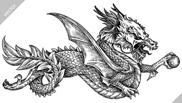 Japanese dragon vintage engraving drawing s Vector Image
