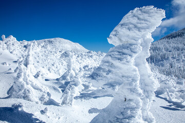 Fototapeta na wymiar 青空と美しい樹氷の山9