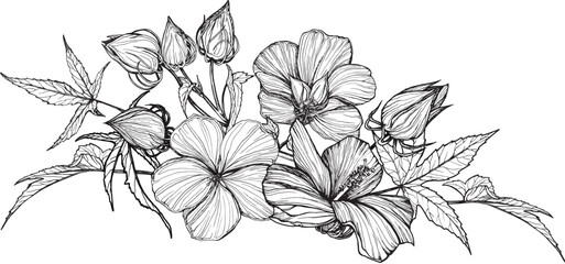 Composition of Hibiscus flowers and leaves. Black and white hand-drawn graphics translated into vector. Botanical illustration for printing on fabric, packaging, prints, stickers, posters, postcards