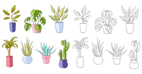 House plants in pot collection in stroke style. Line art, outline, colorful set. Vector illustration isolated on a white background.