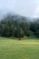 A small wood cabin at the end of a field in front of a pine forest with clouds throughout the trees in Slovenia