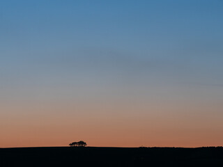 Silhouette of a small wood of trees on the top of a hill against a sunset sky turning from orange to blue