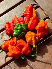 habanero mix peppers