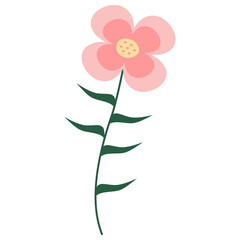 Spring Flower Illustration