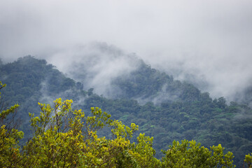 View of Arenal Volcano National Park (Costa rica)