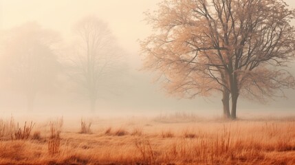 Obraz na płótnie Canvas misty morning in the forest, foggy autumn scenery