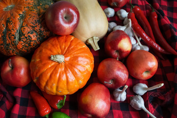 Gifts of autumn. Lots of vegetables and fruits on a red checkered blanket. Pumpkins, apples, garlic, hot peppers - harvesting.