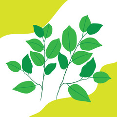 Pattern background design, vector, illustration. Illustration design background with floral concept.