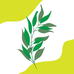 Pattern background design, vector, illustration. Illustration design background with floral concept.