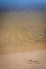 Shore Walk