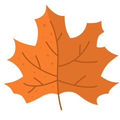 Autumn Leaf Illustration