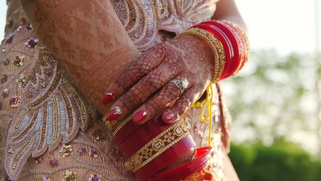 Elements of Beautiful woman dressed in traditional Indian wedding. Close up shot of hands on sunny day