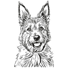 Norwich Terrier dog silhouette pet character, clip art vector pets drawing black and white sketch drawing