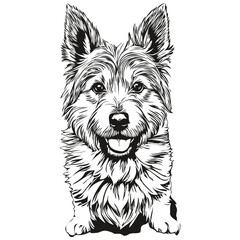 Norwich Terrier dog ink sketch drawing, vintage tattoo or t shirt print black and white vector