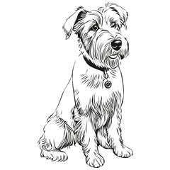 Sealyham Terrier dog ink sketch drawing, vintage tattoo or t shirt print black and white vector realistic breed pet