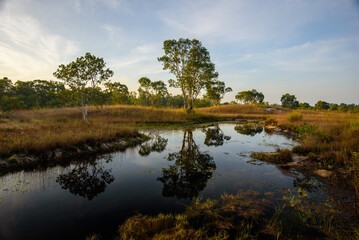 expansive savannah grassland landscape of Golden Budda Island mean Ko Phra Thong in Thailand.