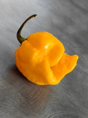 Yellow Carolina Reaper Pepper Chili