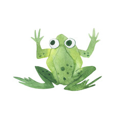 Watercolor illustration of a funny frog