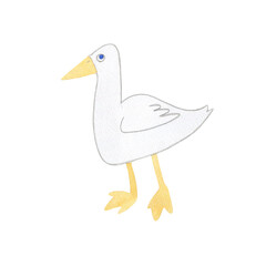 Watercolor illustration of a funny goose. Cartoon drawing of a bird