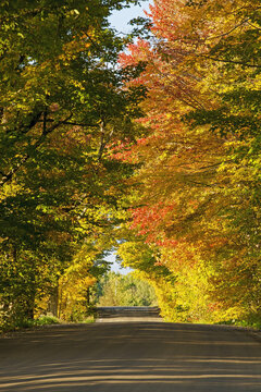 Country Road In Autumn; West Bolton, Quebec, Canada