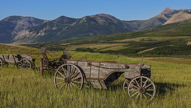 Old Wagons In Fields In The Foothills; Alberta, Canada