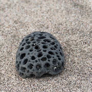 A Rock With Holes Through It Sitting On The Beach; Galapagos, Equador