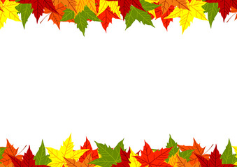 Autumn colorful fallen maple leaves isolated on white background. Border ornament of bright green yellow orange red dry acer leaf. Fall season. Presentation template. Invitation Card. Copy space.