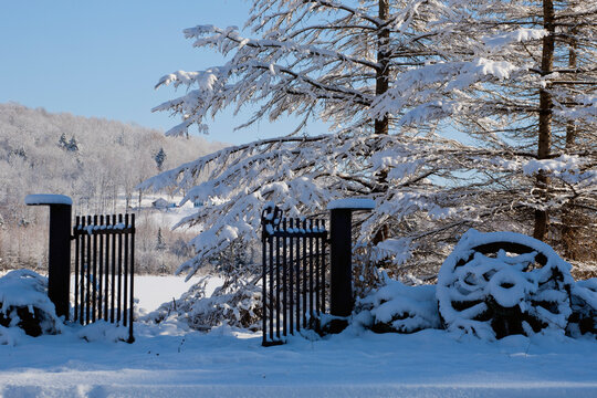 Old Gate And Wooden Wagon Wheel Covered In Snow; East Hill, Quebec, Canada