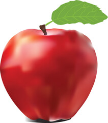 red apple isolated on white