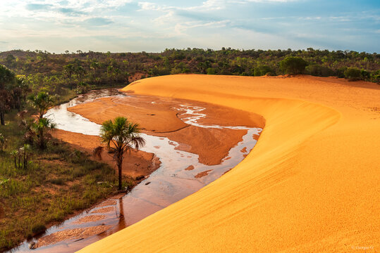Dunes in "Jalapão" national park in nothern Brazil