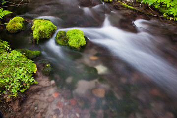 Still Creek In Mount Hood National Forest In The Oregon Cascade Mountains; Oregon, United States of America