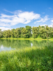 Green landscape and pond in Germany.
