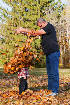 Grandfather and grandson playing in the leaves in a park in autumn; Edmonton, alberta, canada