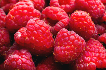 Fresh sweet raspberries close up. Ecologically grown raspberries, raspberry background