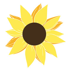 Sunflower Plant Illustration
