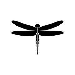 Silhouette of a dragonfly. Glyph icon of insect, simple shape of damselfly. Black vector illustration on white. Perfect for decoration, carving, design.