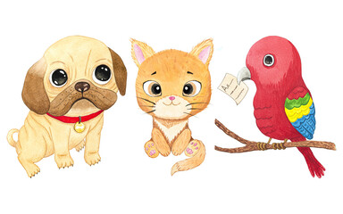 Cute cartoon domestic animals, pets. Cat, dog, parrot. watercolor art