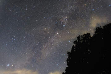 Cygnus above the milky way, summer stars of western sky in the mountain