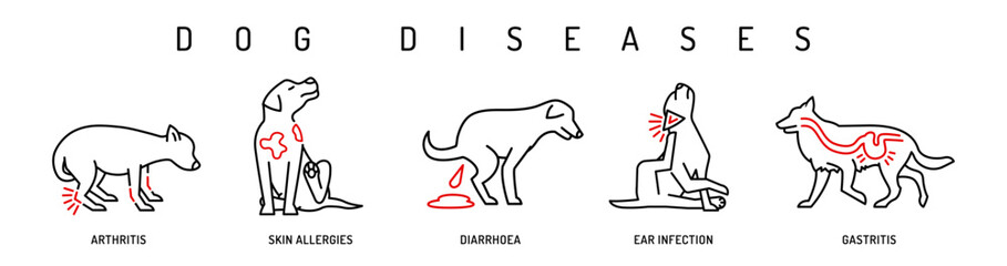 Dog diseases icon set. Skin allergies, ear infections, gastritis, shark feces, arthritis. - 647740177