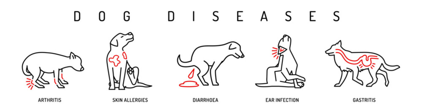 Dog diseases icon set. Skin allergies, ear infections, gastritis, shark feces, arthritis.